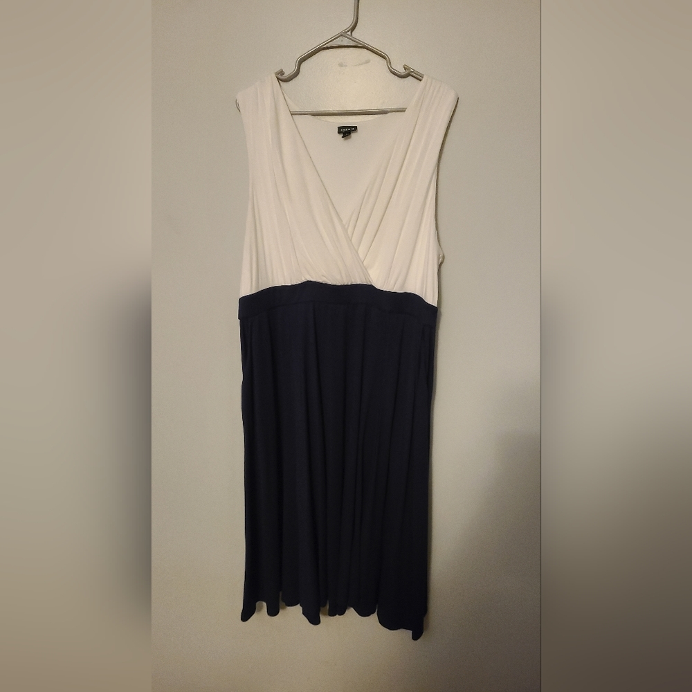 Plus Dress